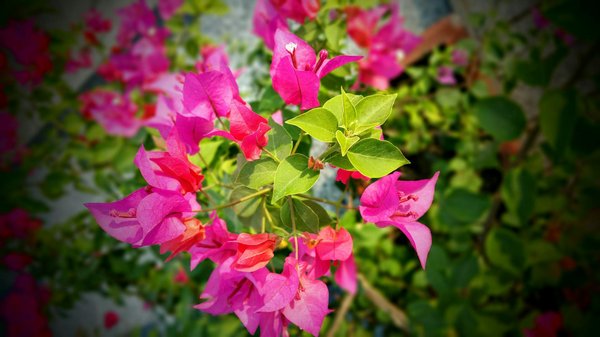 Comment Réussir la Réparation de Votre Lave-Vaisselle : Guide Ultime de Dépannage